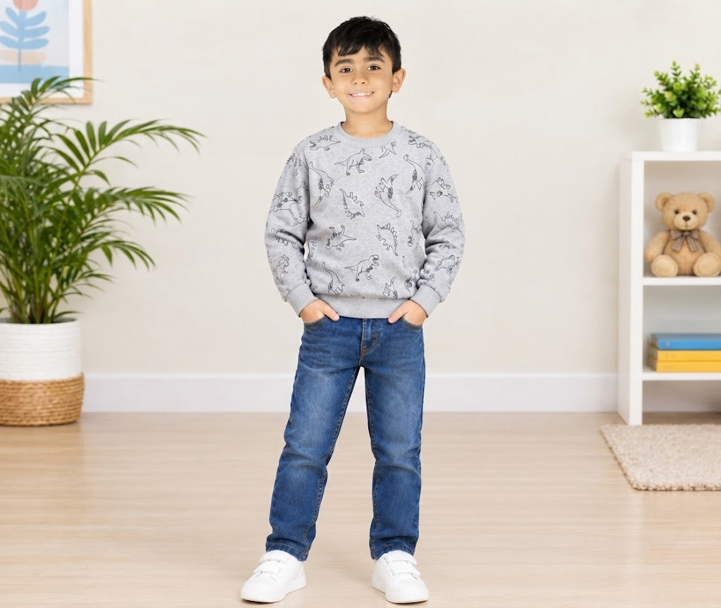 Kids’ Dinosaur Print Crewneck Sweatshirt – Grey